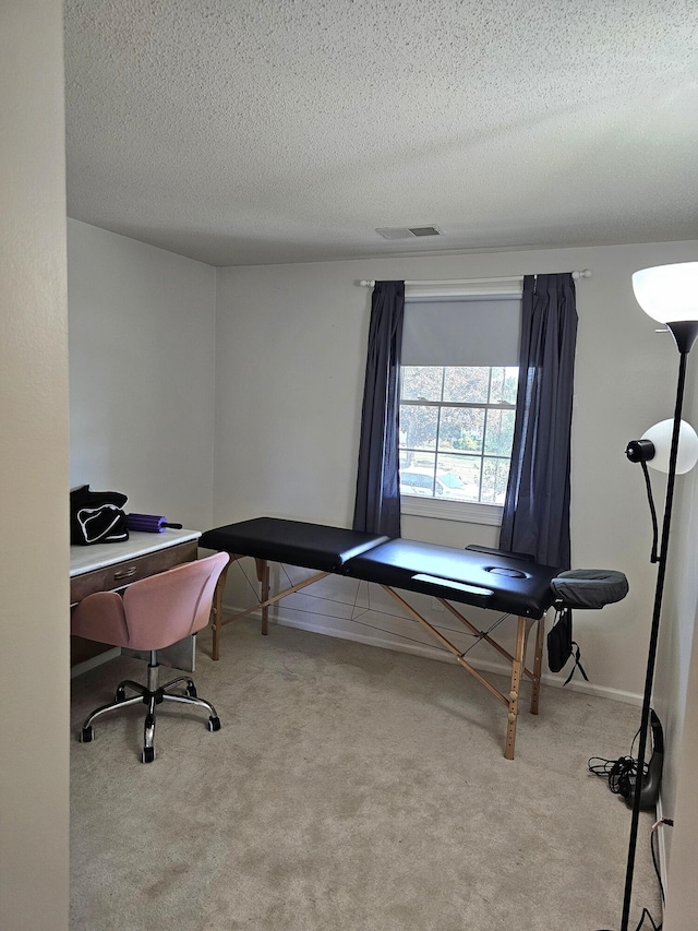 carpeted office space with a textured ceiling