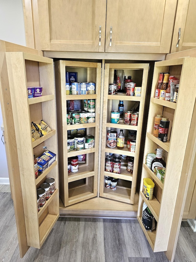 view of pantry