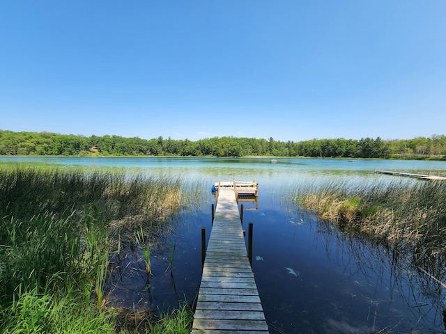 dock area with a water view