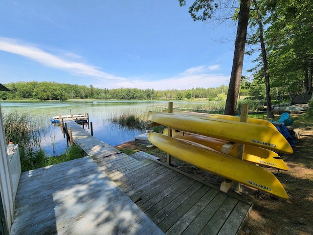 view of dock with a water view