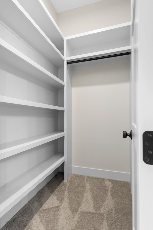 walk in closet featuring carpet floors