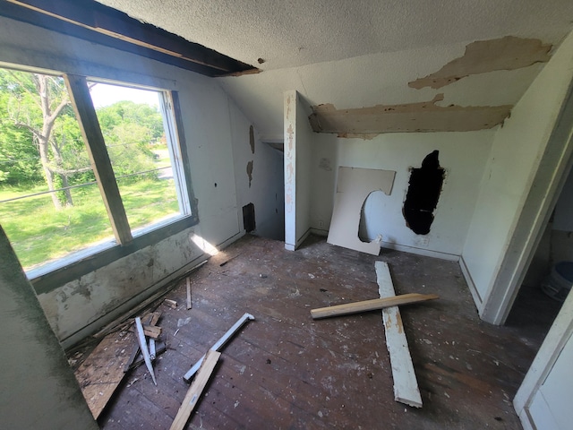 15379 Dolphin St, Detroit, MI 48223 - bonus room featuring a textured ceiling and vaulted ceiling