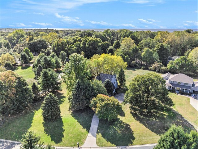 507 Lena Dr, South Haven, MI 49090 - bird's eye view