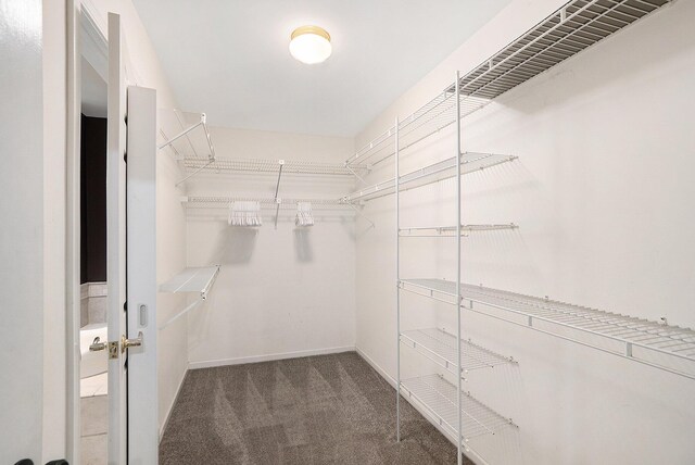 507 Lena Dr, South Haven, MI 49090 - spacious closet featuring carpet flooring