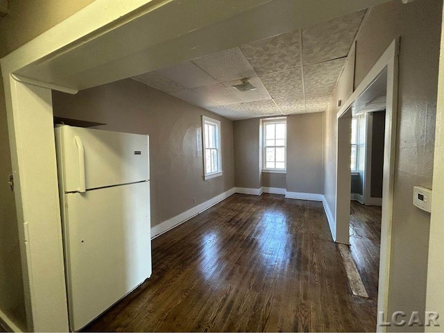 kitchen featuring a paneled ceiling, white fridge, and dark wood-type flooring