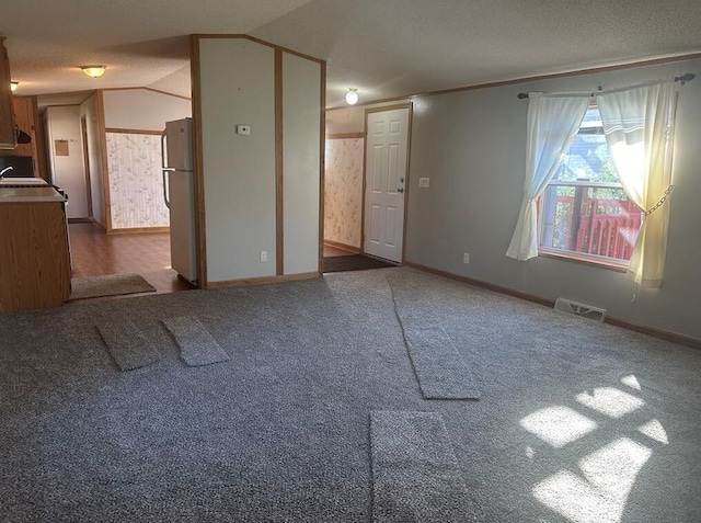 interior space with sink, carpet floors, a textured ceiling, and vaulted ceiling