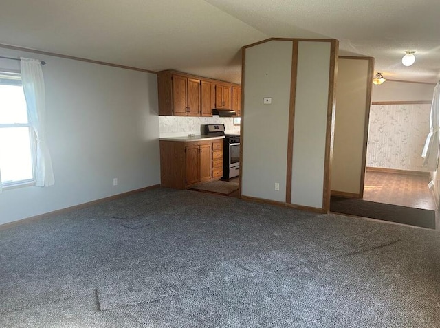 kitchen featuring decorative backsplash, carpet floors, stainless steel stove, and vaulted ceiling