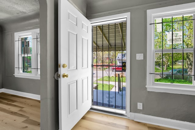 doorway to outside with light hardwood / wood-style floors