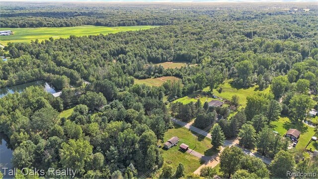 000 Caine Rd, Vassar, MI 48768
