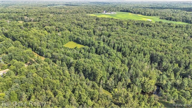 000 Caine Rd, Vassar, MI 48768