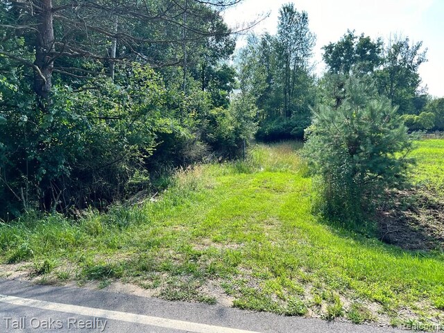 000 Caine Rd, Vassar, MI 48768