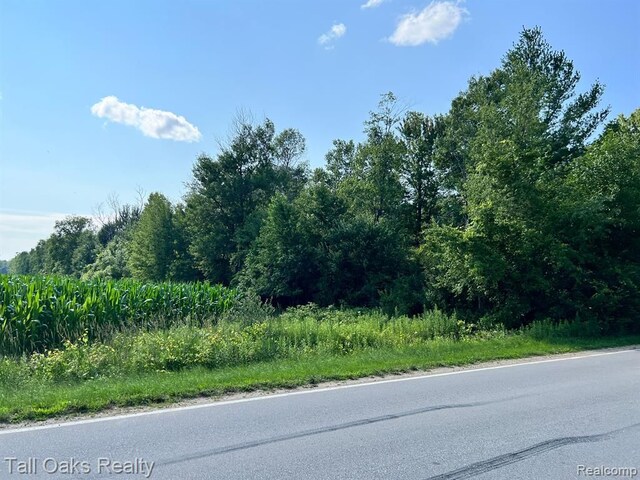 000 Caine Rd, Vassar, MI 48768
