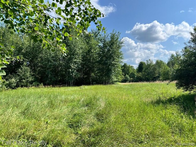 000 Caine Rd, Vassar, MI 48768