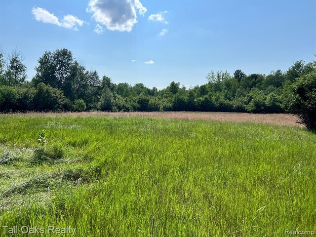 000 Caine Rd, Vassar, MI 48768