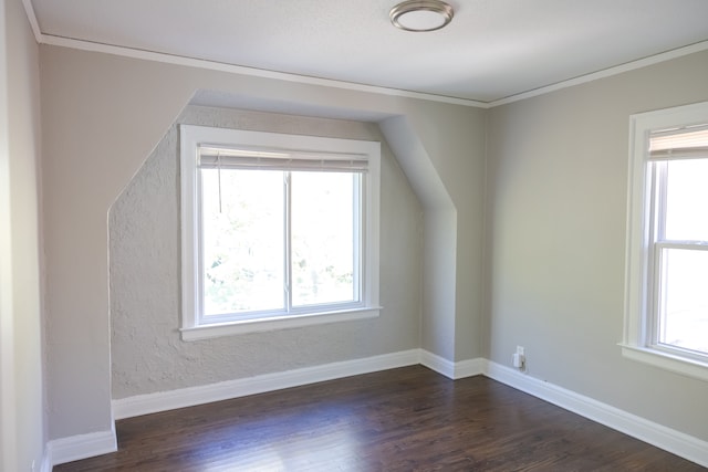 additional living space with plenty of natural light and dark wood-type flooring