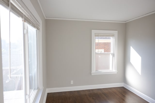 spare room with dark hardwood / wood-style flooring and crown molding