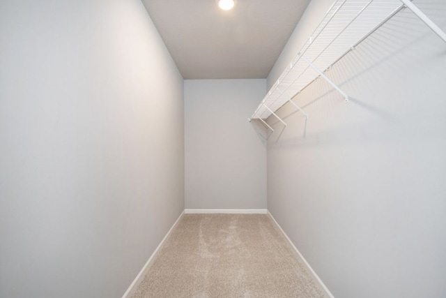 spacious closet with light colored carpet