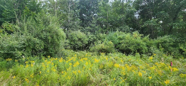 ParcelB River Road, Manistee MI, 49660 land for sale