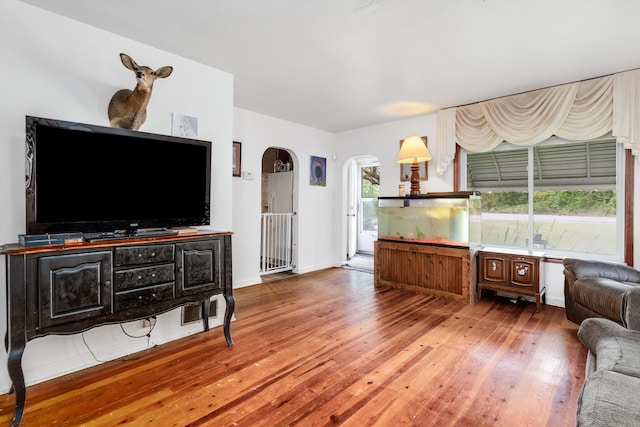 living room with hardwood / wood-style floors and plenty of natural light