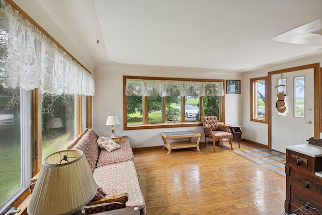 interior space featuring a healthy amount of sunlight and light hardwood / wood-style floors