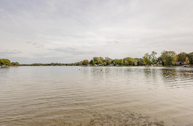 482 Swan Ln, Coldwater, MI 49036 - water view