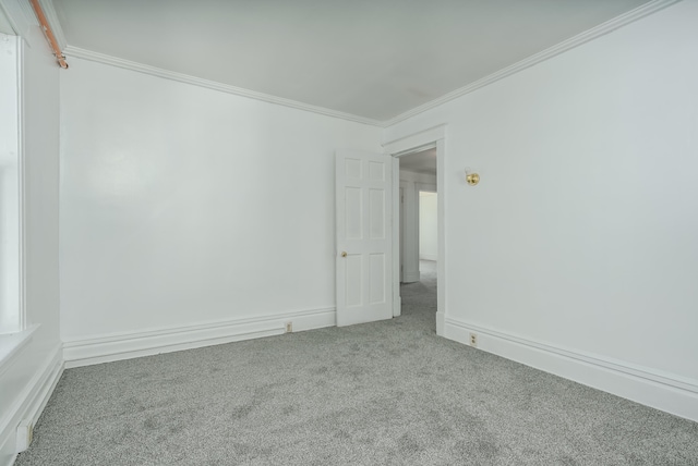 spare room with carpet floors and crown molding