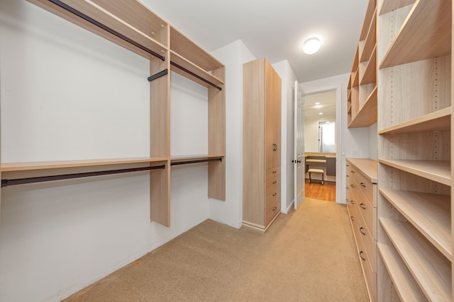 spacious closet featuring light carpet