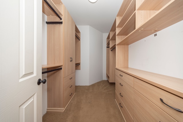 walk in closet with light carpet