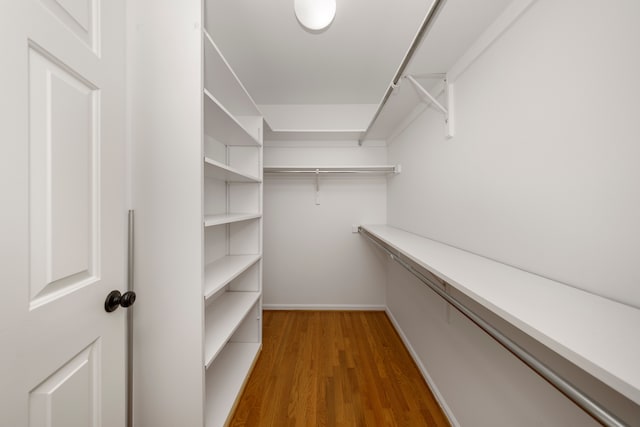 spacious closet with wood-type flooring