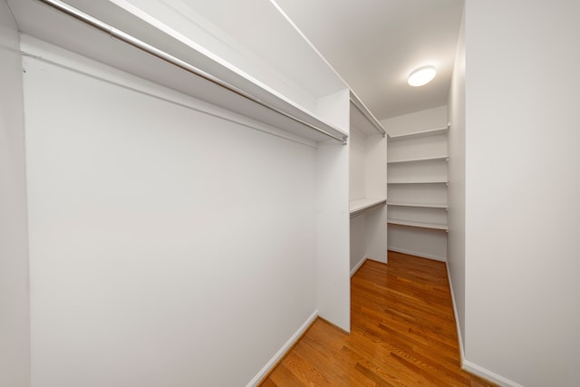 spacious closet featuring wood-type flooring