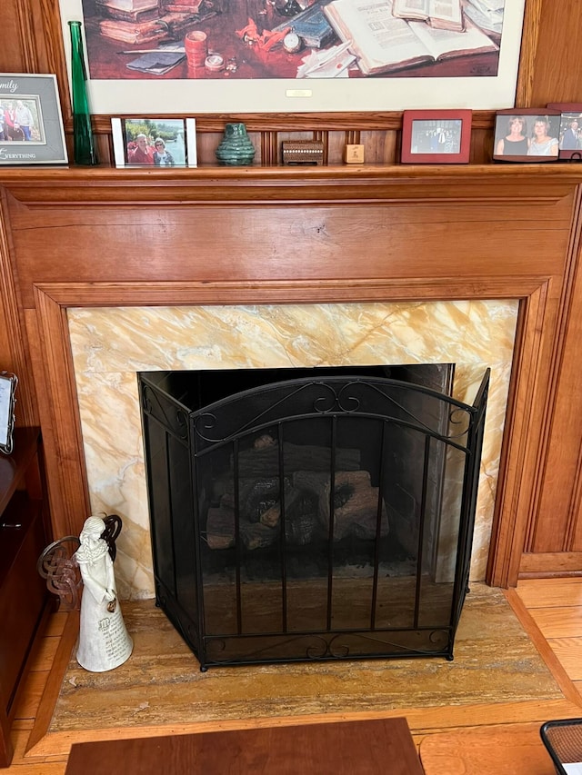 details featuring a high end fireplace and wood-type flooring