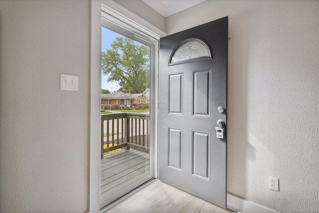 foyer entrance with light hardwood / wood-style flooring