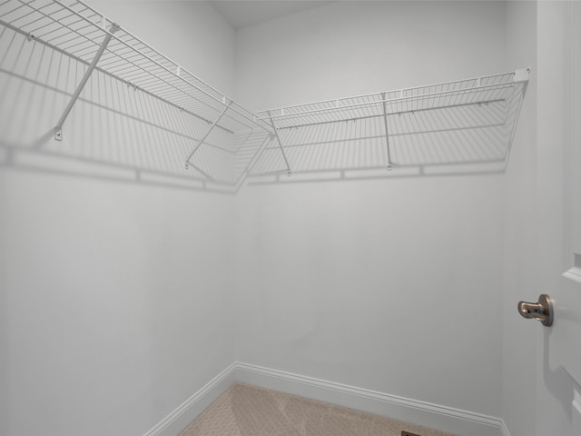 spacious closet featuring carpet floors