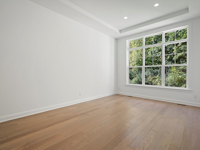 unfurnished room with a tray ceiling, a wealth of natural light, and light wood-type flooring