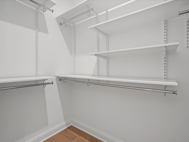 spacious closet featuring wood-type flooring