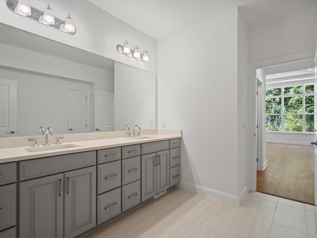 bathroom with hardwood / wood-style flooring and vanity