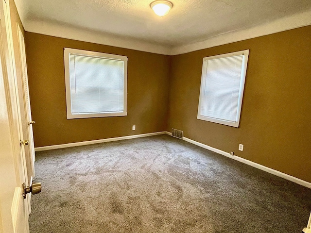 carpeted empty room with a textured ceiling and a wealth of natural light