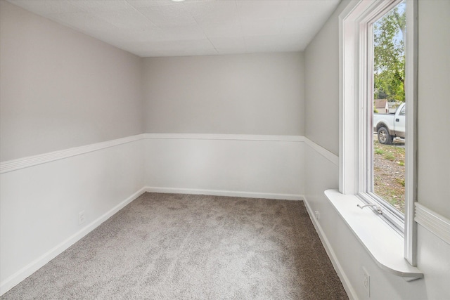 carpeted spare room with a wealth of natural light