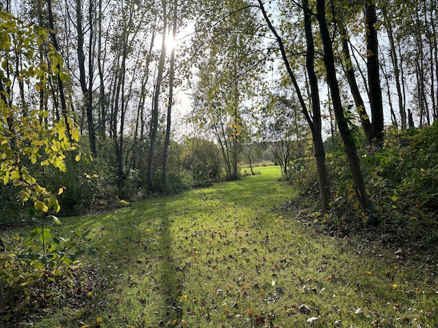 view of landscape