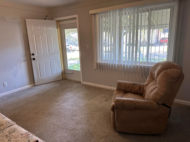 sitting room featuring carpet floors