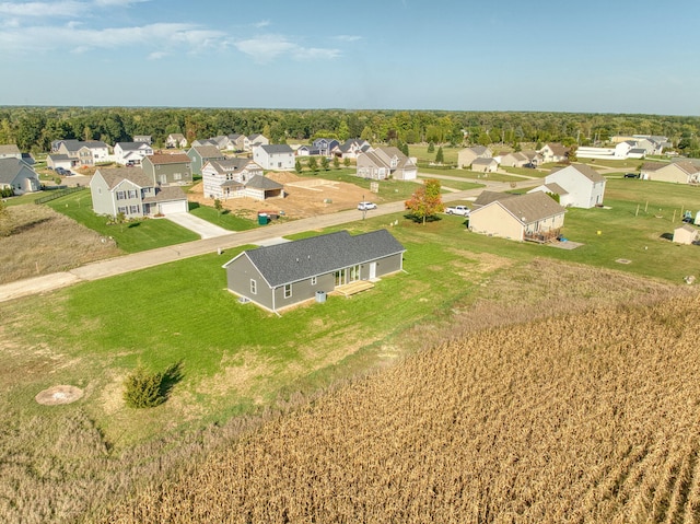 drone / aerial view