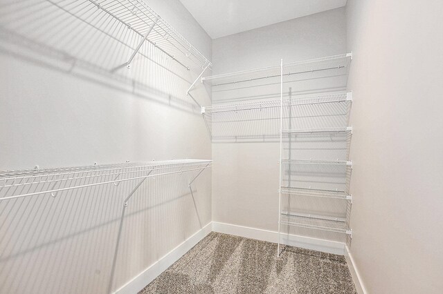 spacious closet with carpet flooring