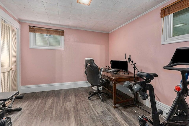 office with hardwood / wood-style floors and ornamental molding