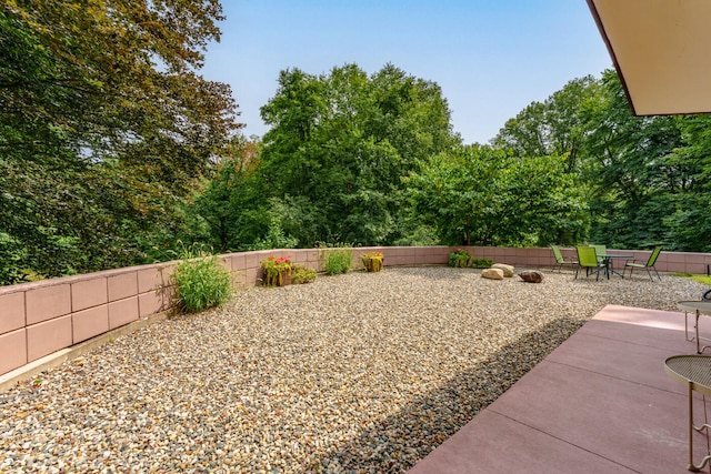 view of yard with a patio area