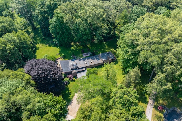 bird's eye view