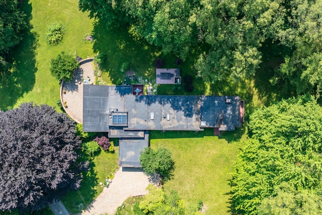 aerial view