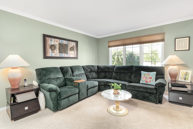 living room featuring carpet floors and crown molding