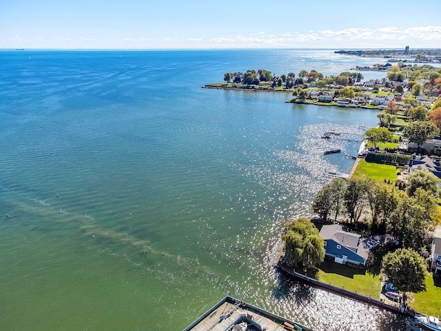 22461 Milner St, Saint Clair Shores, MI 48081 - birds eye view of property featuring a water view