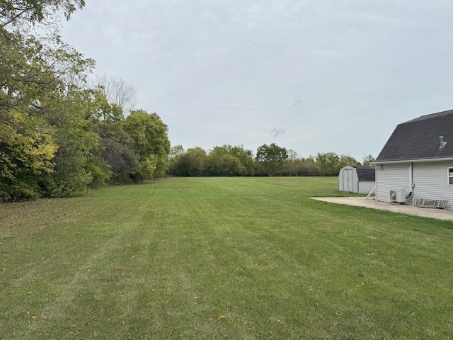 view of yard with a storage shed