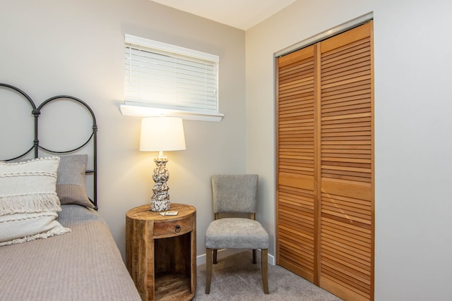 bedroom featuring carpet and a closet